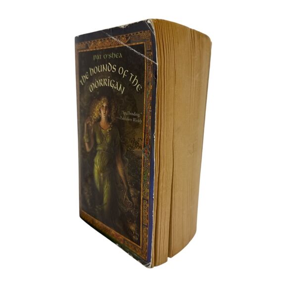 The Hounds of the Morrigan paperback book Pat O'shea fantasy grade 6 - 9 youth - Picture 7 of 7